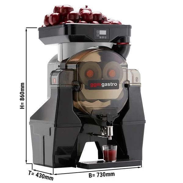 Elektrische Fruchtsaftpresse - Silber - Manuelle Zufuhr - Inkl. Ablasshahn & Reinigungsmodus 1 Elektrische Fruchtsaftpresse - Silber - Manuelle Zufuhr - Inkl. Ablasshahn & Reinigungsmodus