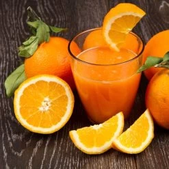 Orangenpresse -Küchen Verkauf orangensaft52 d7fb